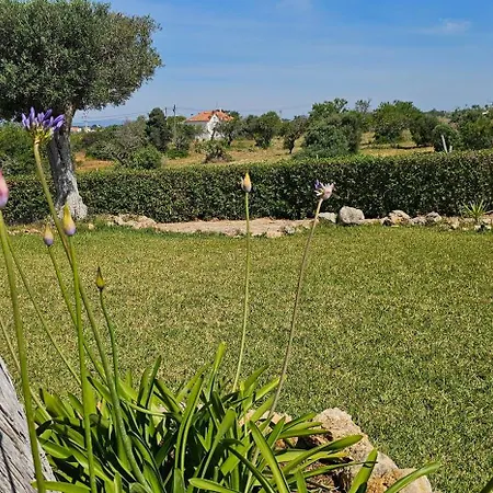 Вилла Quinta Do Lagar - Rural Retreat By The #9